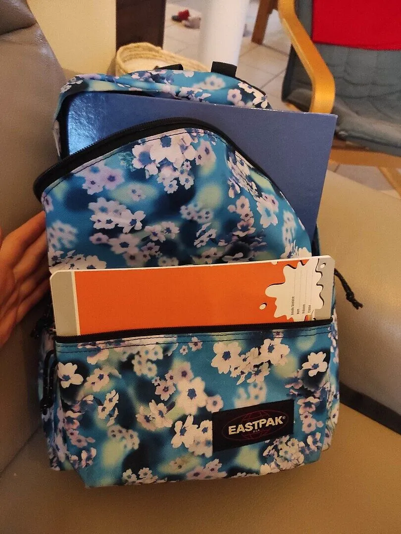 Eastpak Day Pak'r rugzak Black 14 inch vak